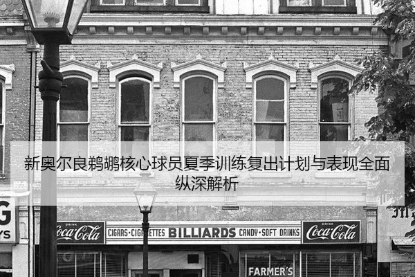 新奥尔良鹈鹕核心球员夏季训练复出计划与表现全面纵深解析